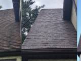 Roof treatment stages 1